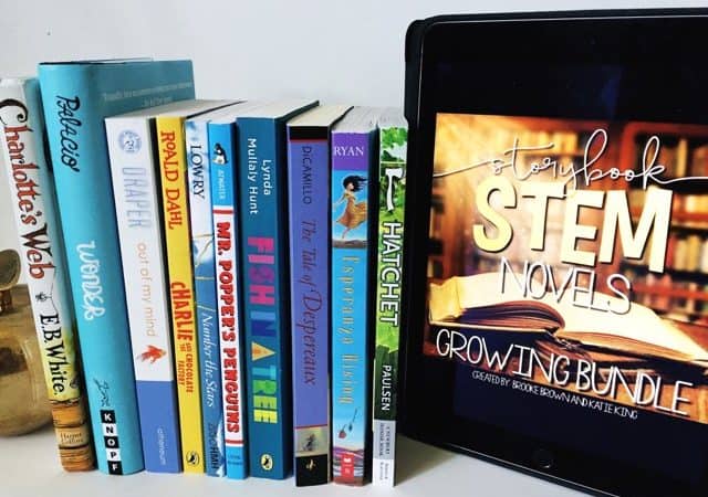 Introducing Storybook STEM Novels
